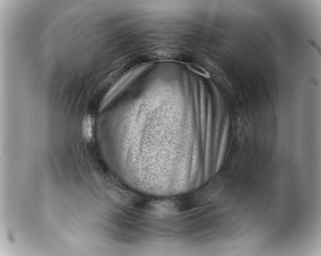 X0000099530075200805301448