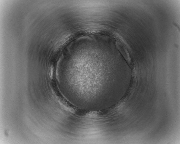 X0000099530076200805301448