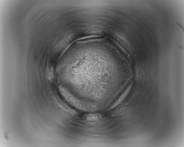 X0000099530077200805301448