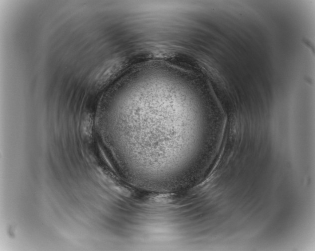 X0000099530078200805301448