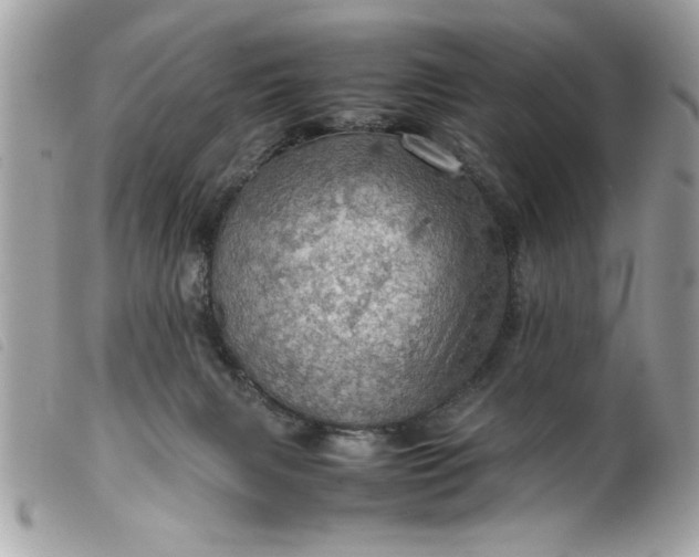 X0000099530079200805301449