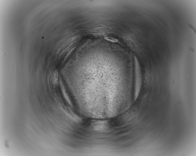 X0000099530081200805301449