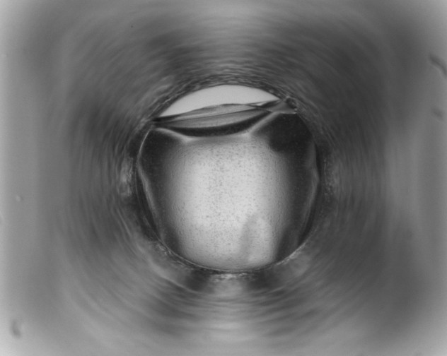 X0000099530082200805301449