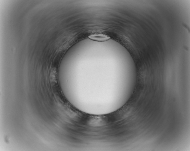 X0000099530083200805301449