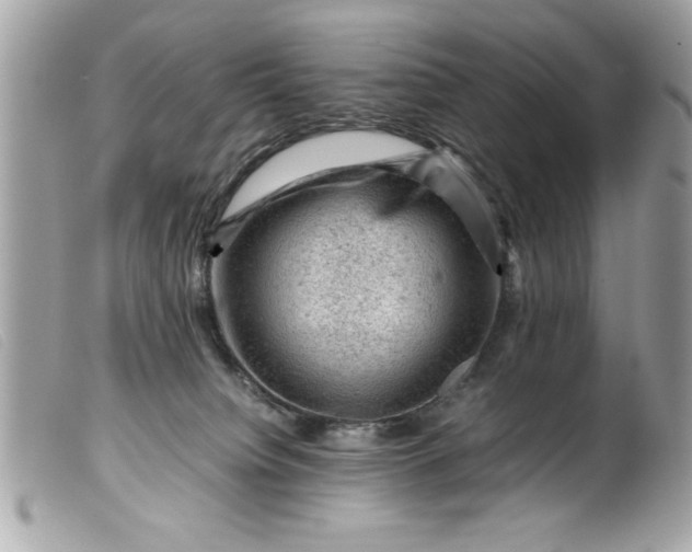 X0000099530084200805301449