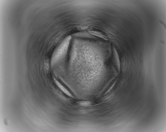 X0000099530085200805301449