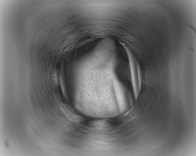 X0000099530086200805301449