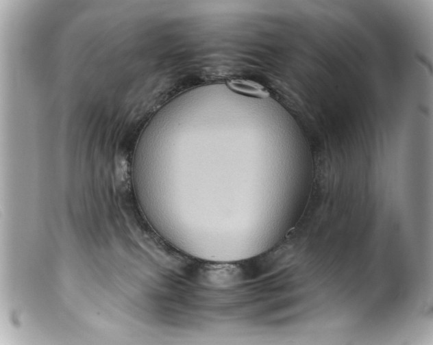 X0000099530087200805301449