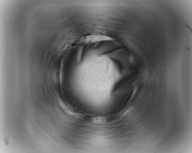 X0000099530088200805301449