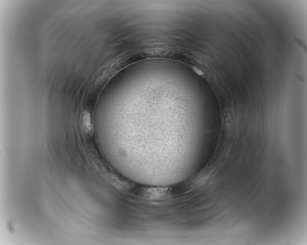 X0000099530089200805301449