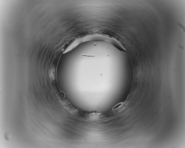 X0000099530090200805301449