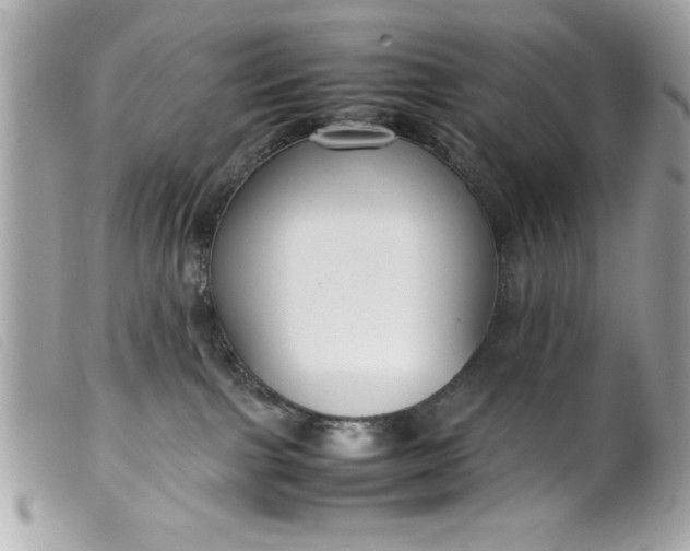 X0000099530091200805301449