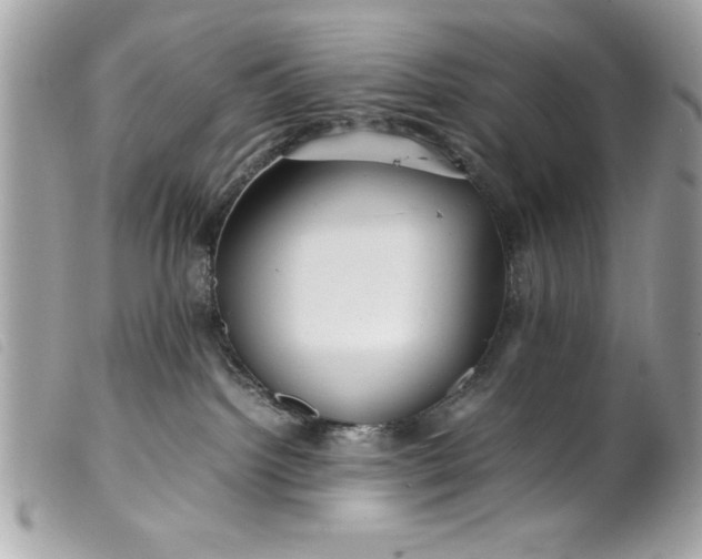 X0000099530092200805301449