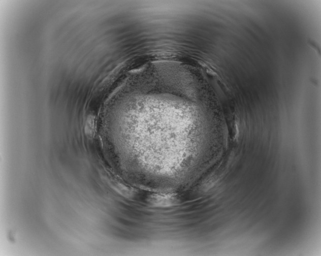 X0000099530093200805301449