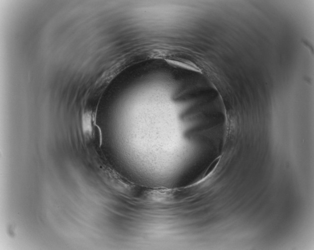 X0000099530094200805301449