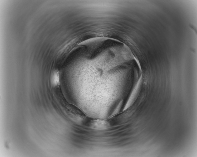 X0000099530095200805301449