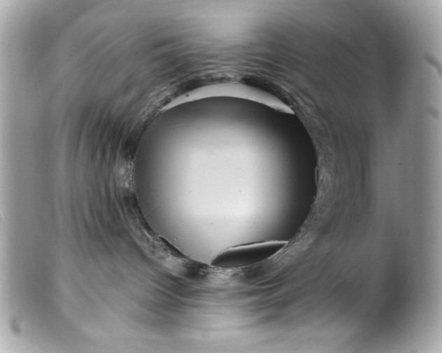 X0000099530096200805301449