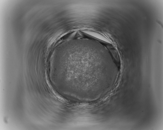 X0000099530097200805301448