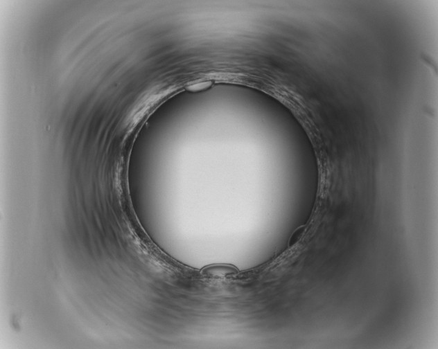 X0000099530098200805301448