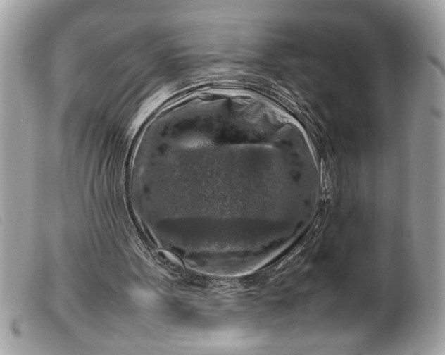 X0000099530099200805301448