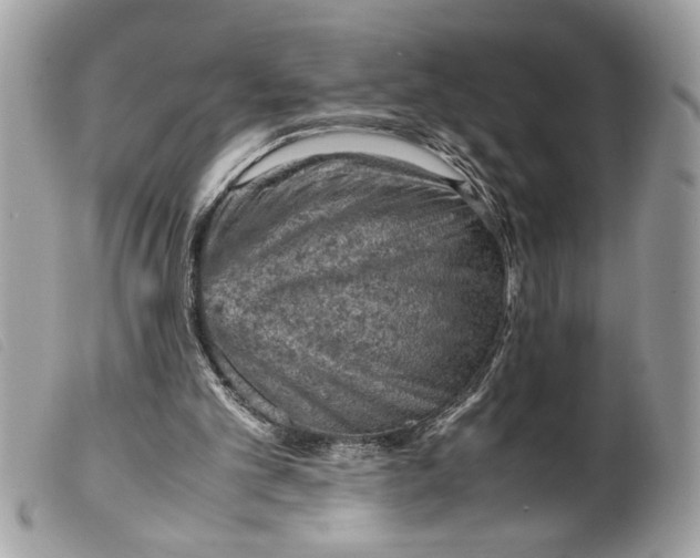 X0000099530101200805301448