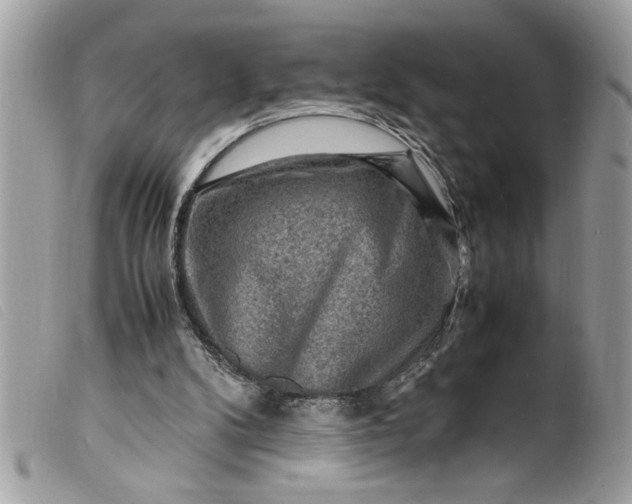 X0000099530104200805301448