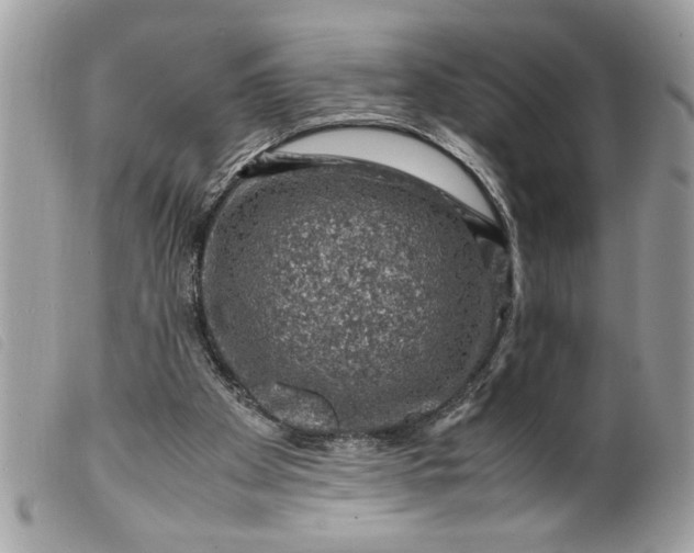 X0000099530105200805301448