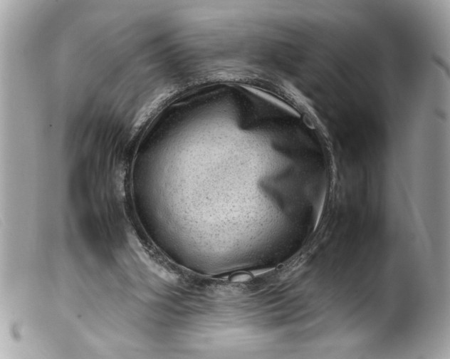 X0000099530106200805301448