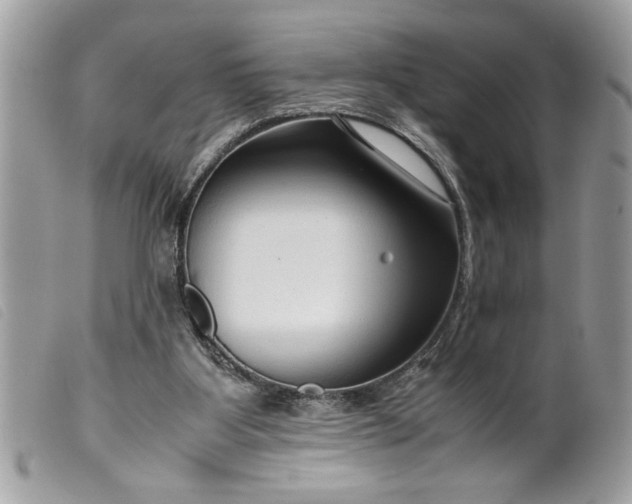 X0000099530107200805301448