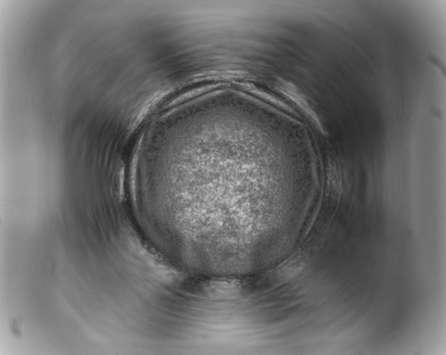 X0000099530110200805301448