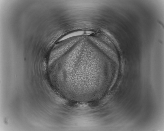 X0000099530113200805301448