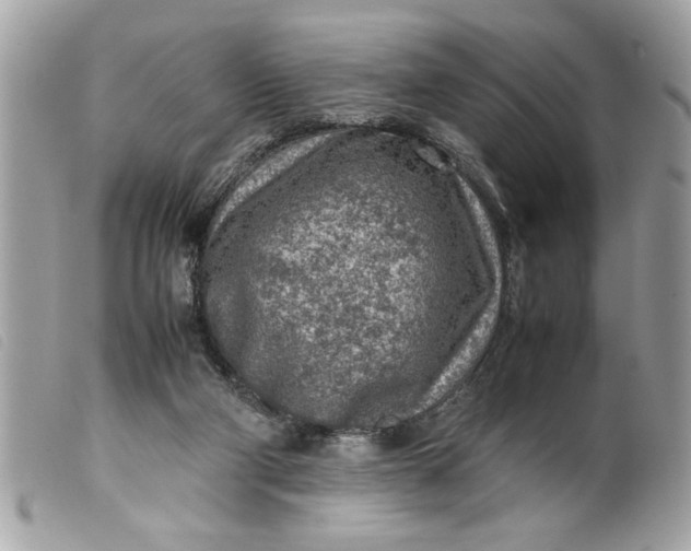 X0000099530114200805301448