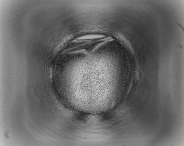 X0000099530115200805301448