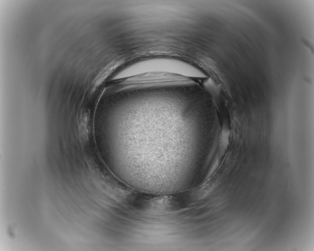 X0000099530116200805301448