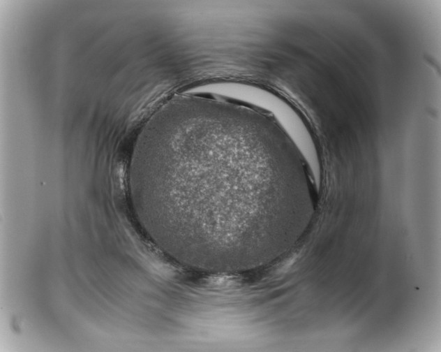 X0000099530117200805301448