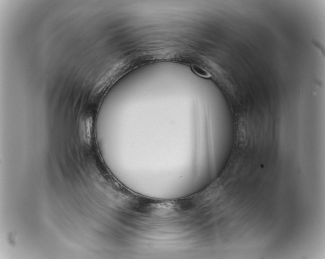 X0000099530118200805301448