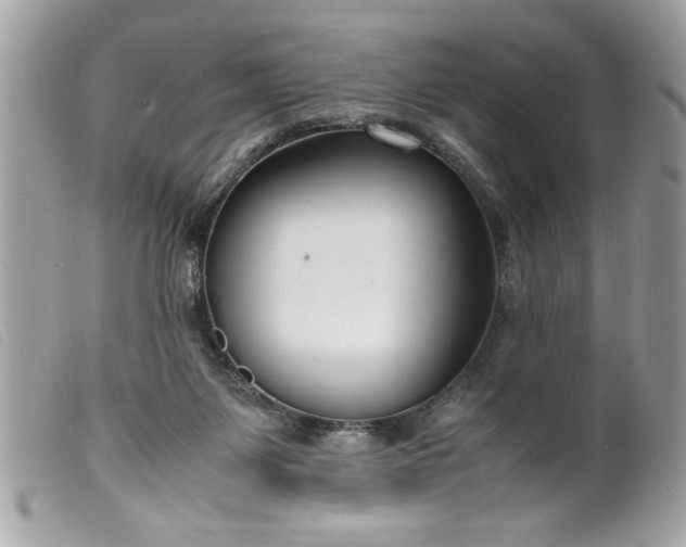 X0000099530119200805301448