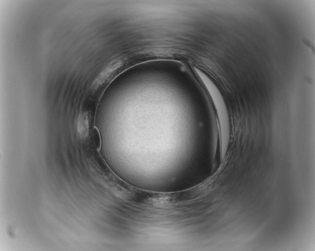 X0000099530120200805301448