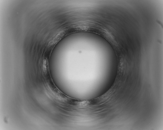 X0000099530122200805301448