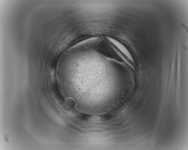 X0000099530123200805301448