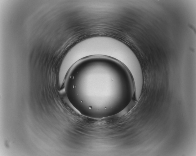 X0000099530124200805301448