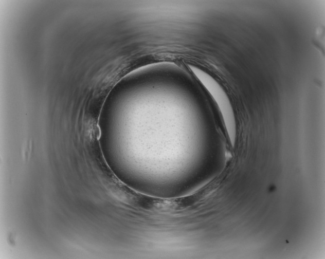 X0000099530125200805301448