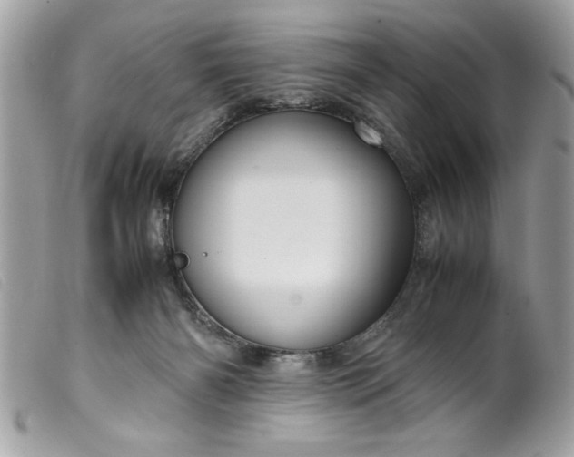 X0000099530126200805301448