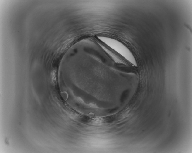 X0000099530127200805301448