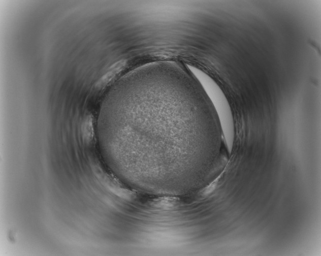 X0000099530128200805301448