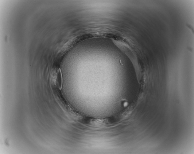 X0000099530129200805301448