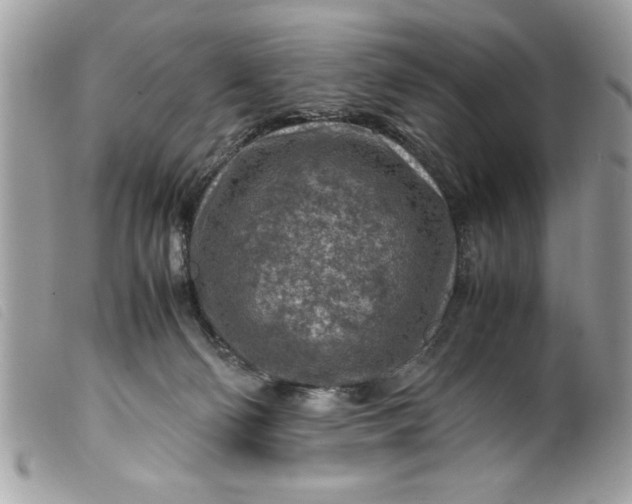 X0000099530130200805301448