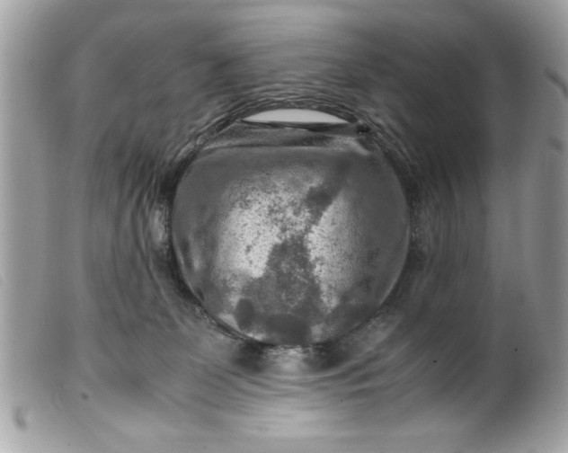 X0000099530131200805301448