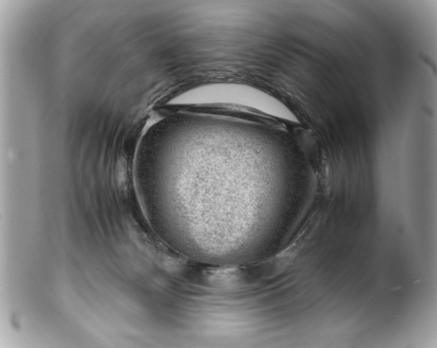 X0000099530132200805301448