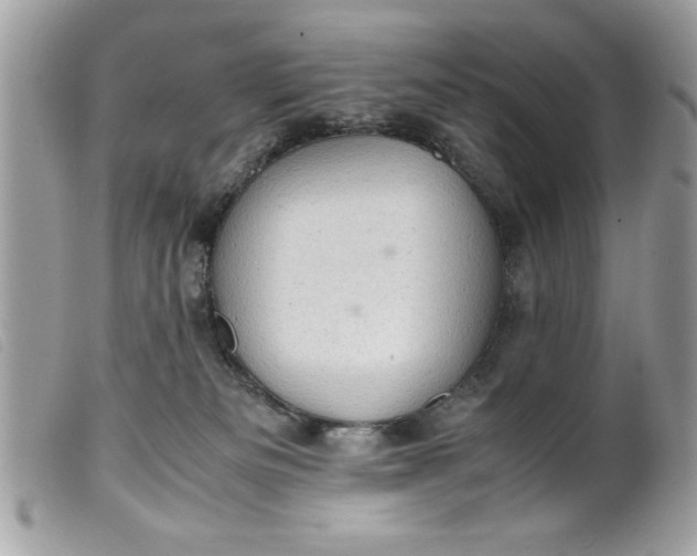 X0000099530133200805301448